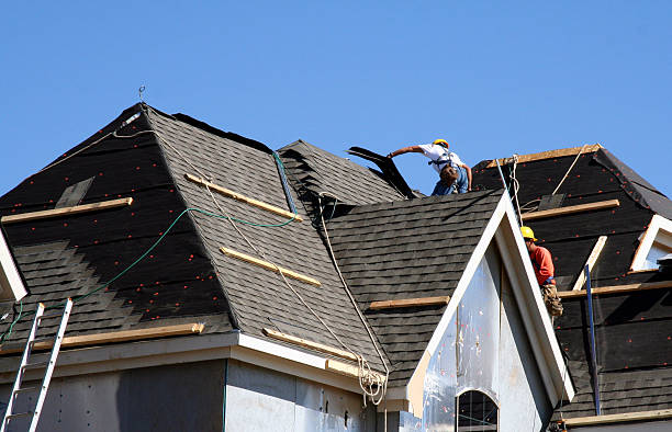 Best Storm Damage Roof Repair  in Ozark, AL