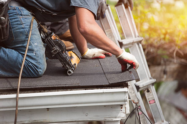 Best Roof Gutter Cleaning  in Ozark, AL